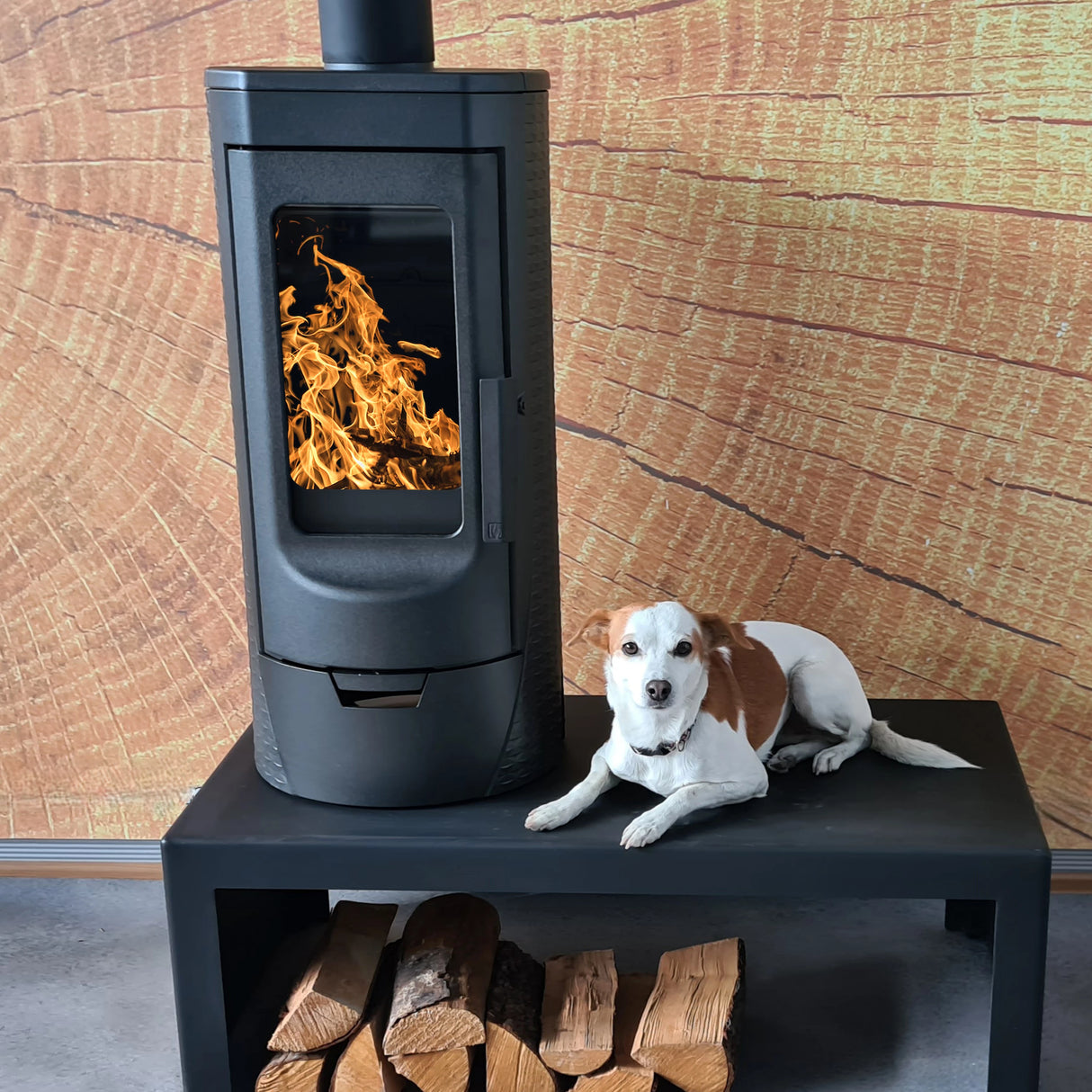 Designový litinový krb Plamen Tara – nezávislý na vzduchu v místnosti